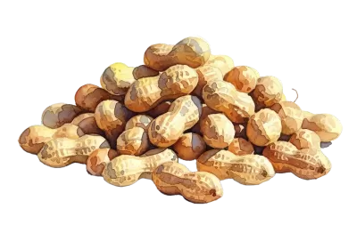 Imagen PNG para descargar